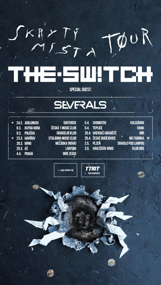the.switch tour poster 2024