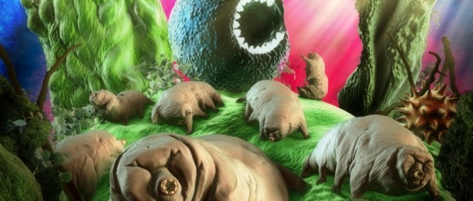 Nová deska Hentai Corporation na obzoru. Jste ready na Intracellular Pets?