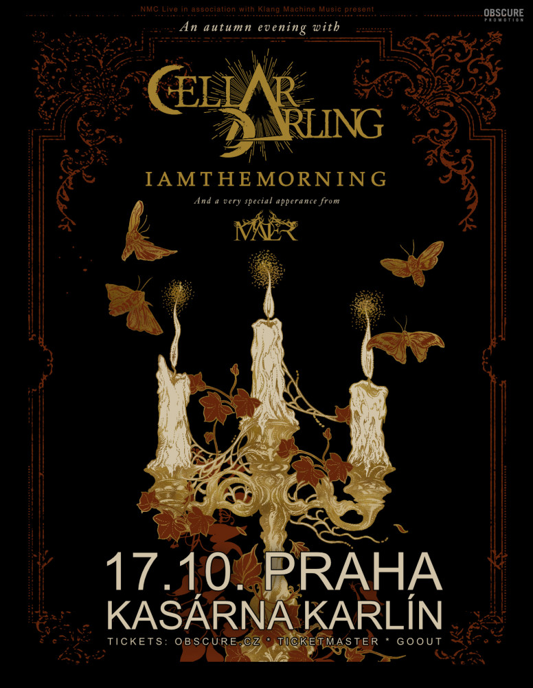 Cellar Darling koncertní art
