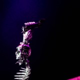 Five Finger Death Punch