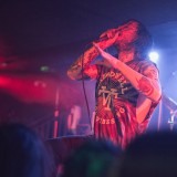 Cancer Bats