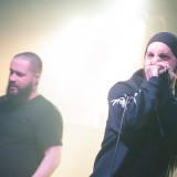 Never Say Die! Spring Fest