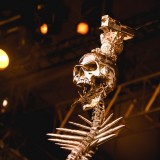 Rock for People (den II)