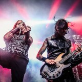DevilDriver (Brutal Assault)