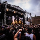Raised Fist (Brutal Assault)