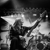 Gamma Ray