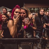 Fajtfest (2017)
