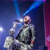 Five Finger Death Punch (live 2017)