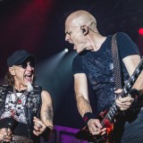 Accept (live 2018)
