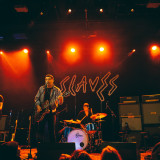 Alligator live 2018