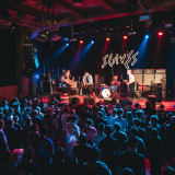 Alligator live 2018