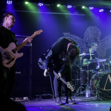 Acres live 2018