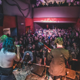 Hentai Corporation live 2019