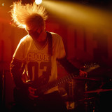 Alpha Wolf live 2019