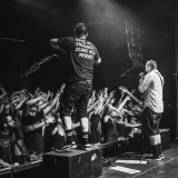 Zebrahead live 2019