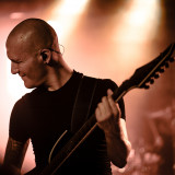 Cellar Darling live 2019