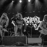 Municipal Waste live 2023