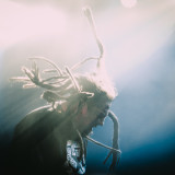 P.O.D. (live 2025)