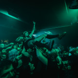 Alpha Wolf (live 2025)