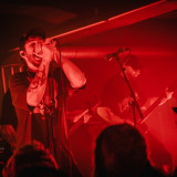 Alpha Wolf (live 2025)