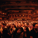 Wolf Alice live 2025