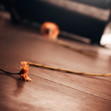 Wolf Alice live 2025