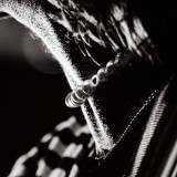 Balu Brigada live 2025