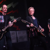 Die Toten Hosen