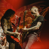 Mastodon