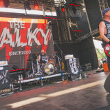 The Fialky (live at Mighty Sounds 2026)