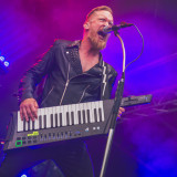 Royal Republic live at Pekelný ostrov 2026